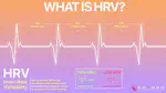 Heart Rate Variability in Shift Workers: Responses to Orthostatism and Relationships with Anthropometry, Body Composition, and Blood Pressure
