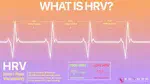 Heart Rate Variability in Shift Workers: Responses to Orthostatism and Relationships with Anthropometry, Body Composition, and Blood Pressure