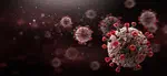 The COVID-19 pandemic in Brazil: an application of the k-means clustering method