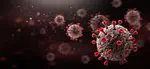 The COVID-19 pandemic in Brazil: an application of the k-means clustering method